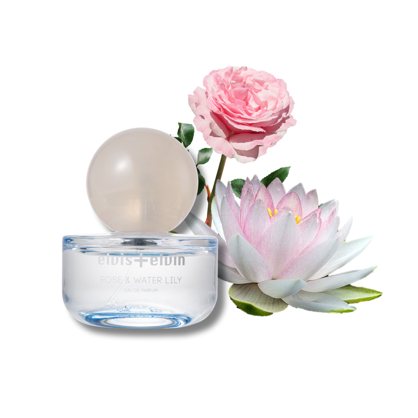 Rose & Water Lily Eau de Parfum – elvis+elvin