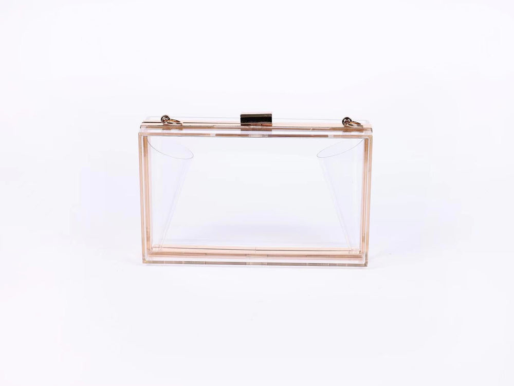 Clear Acrylic Purse