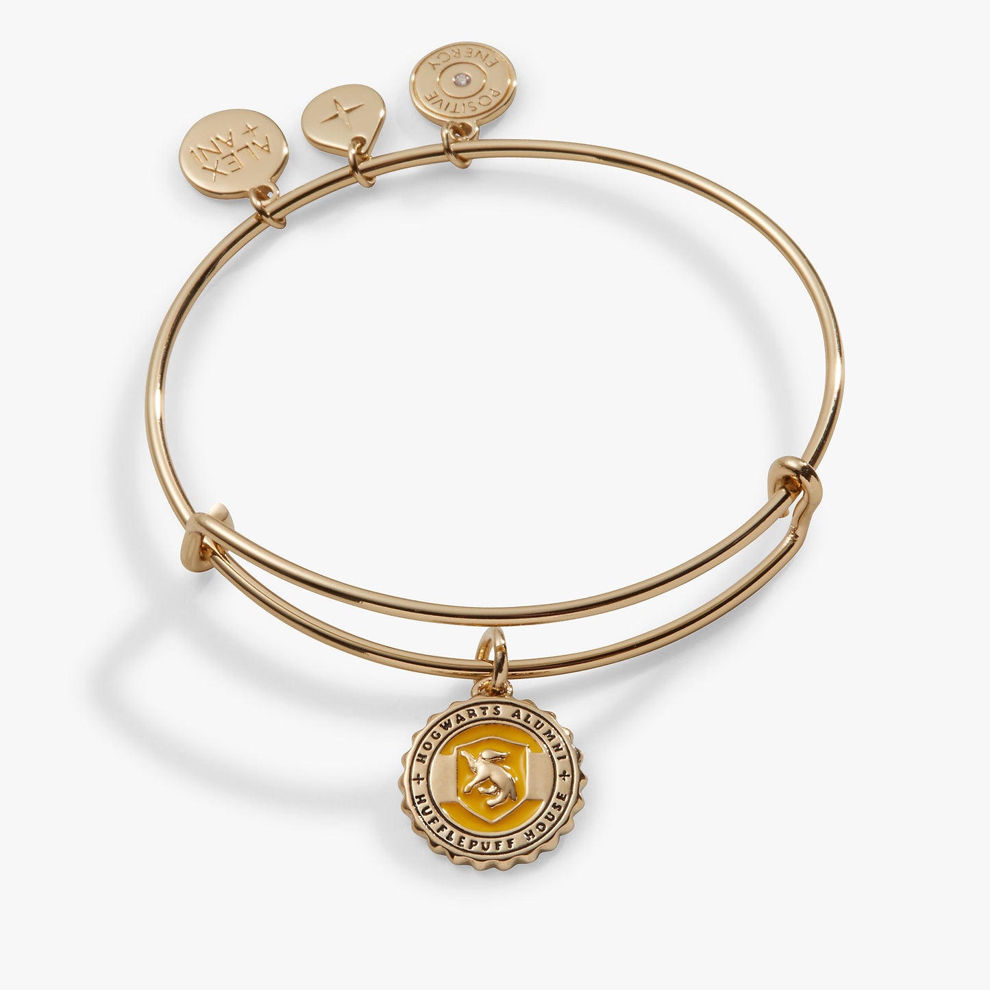 Harry Potter™ Hufflepuff House Charm Bangle