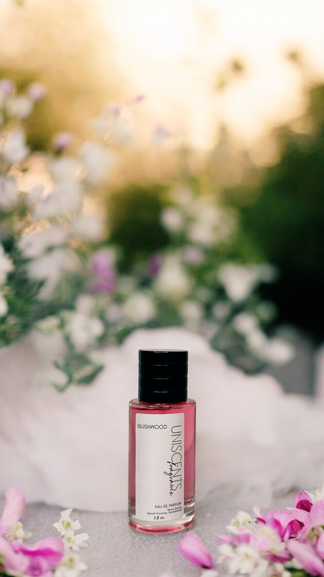 BLUSHWOOD | Limited Release