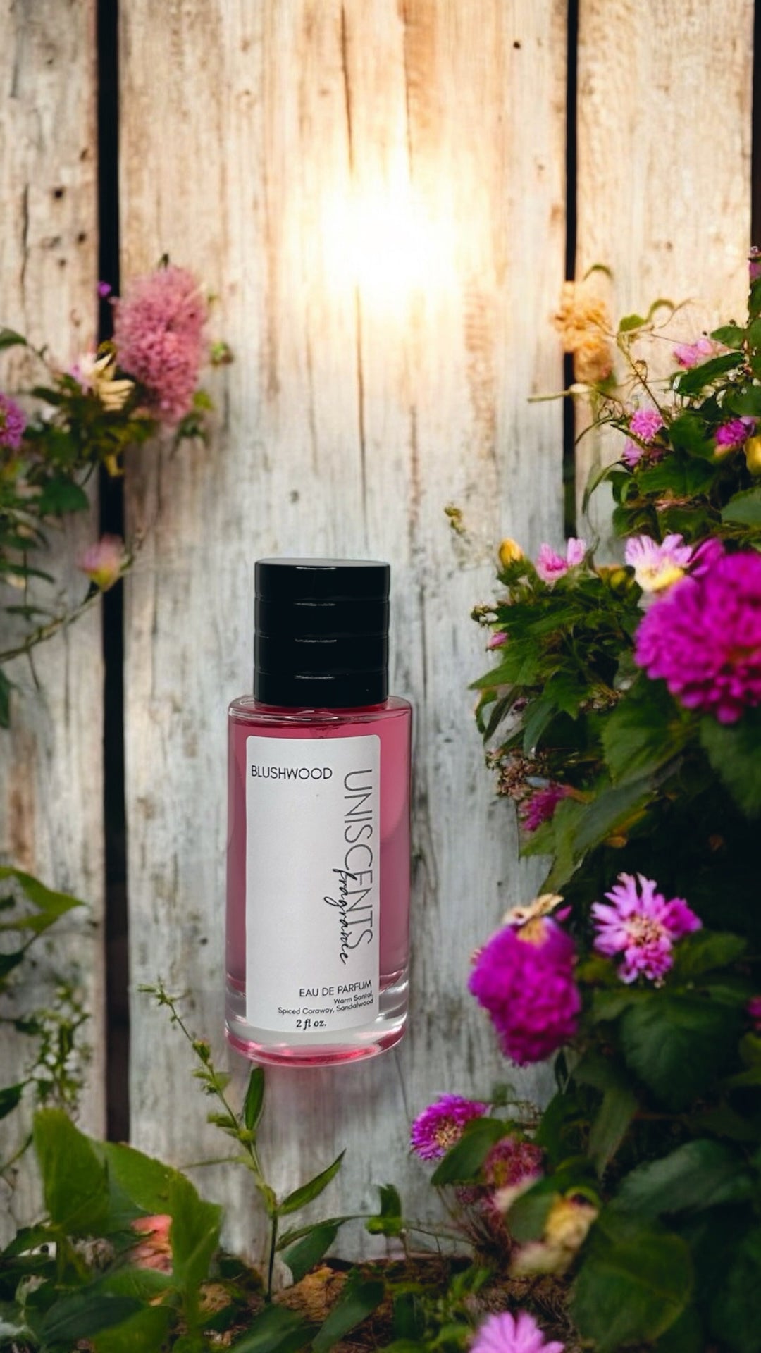 BLUSHWOOD | Limited Release
