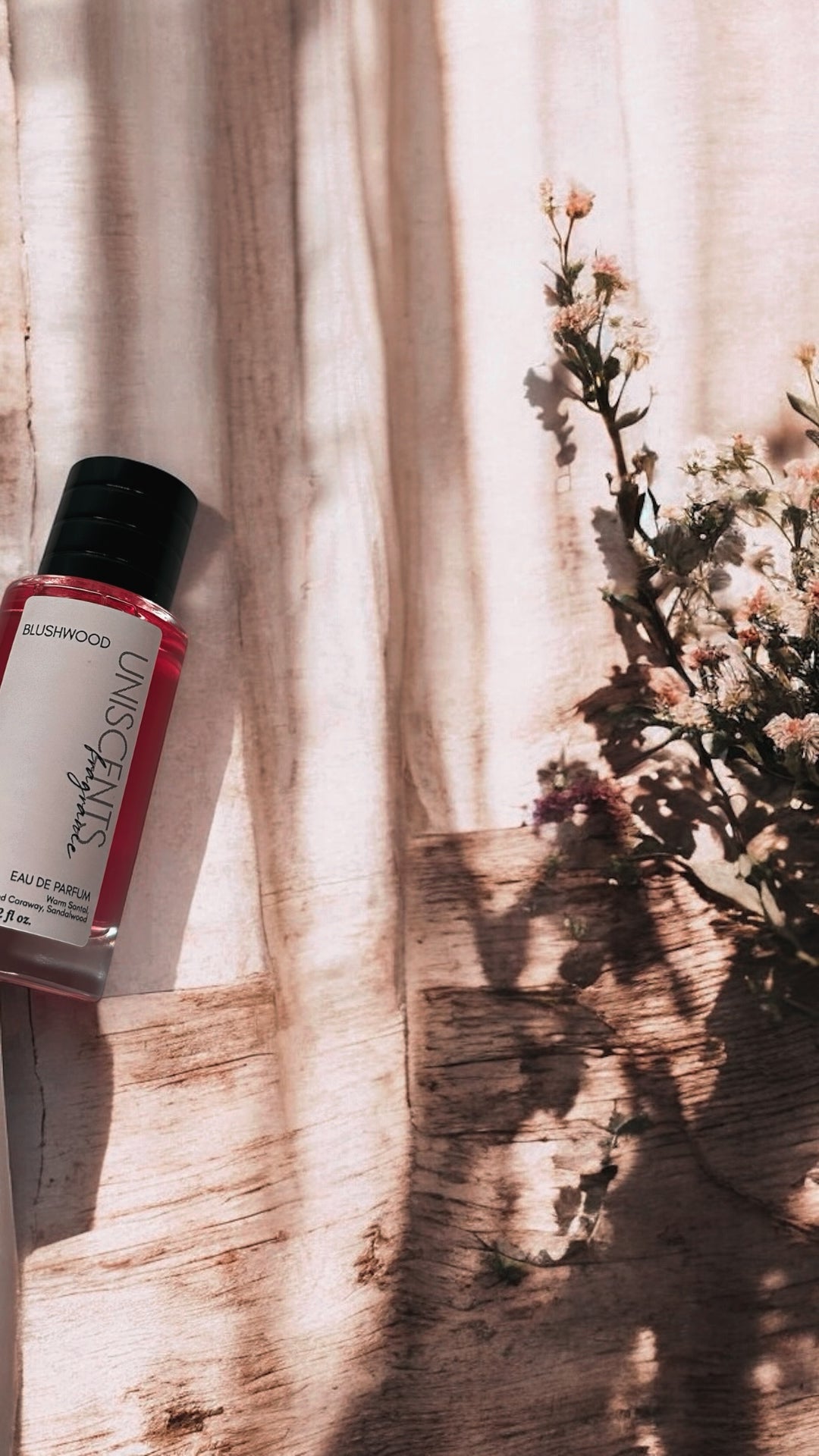 BLUSHWOOD | Limited Release