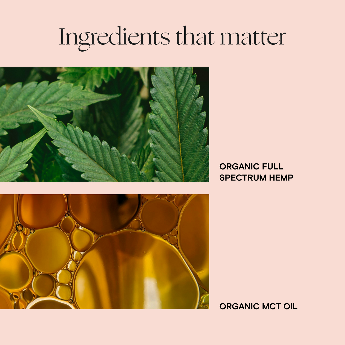 Daily Blend CBD Tincture