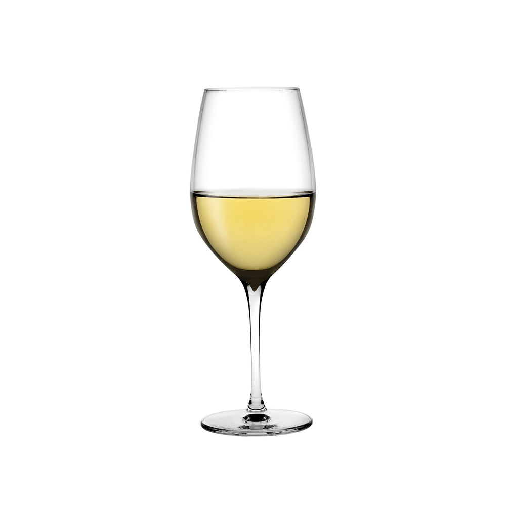 Terroir Set of 2 Polyvalent Glasses