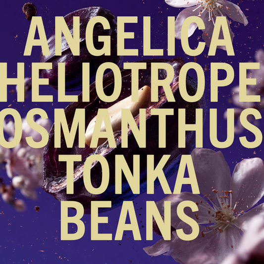 Tonka Angelica fragrance 3.4oz