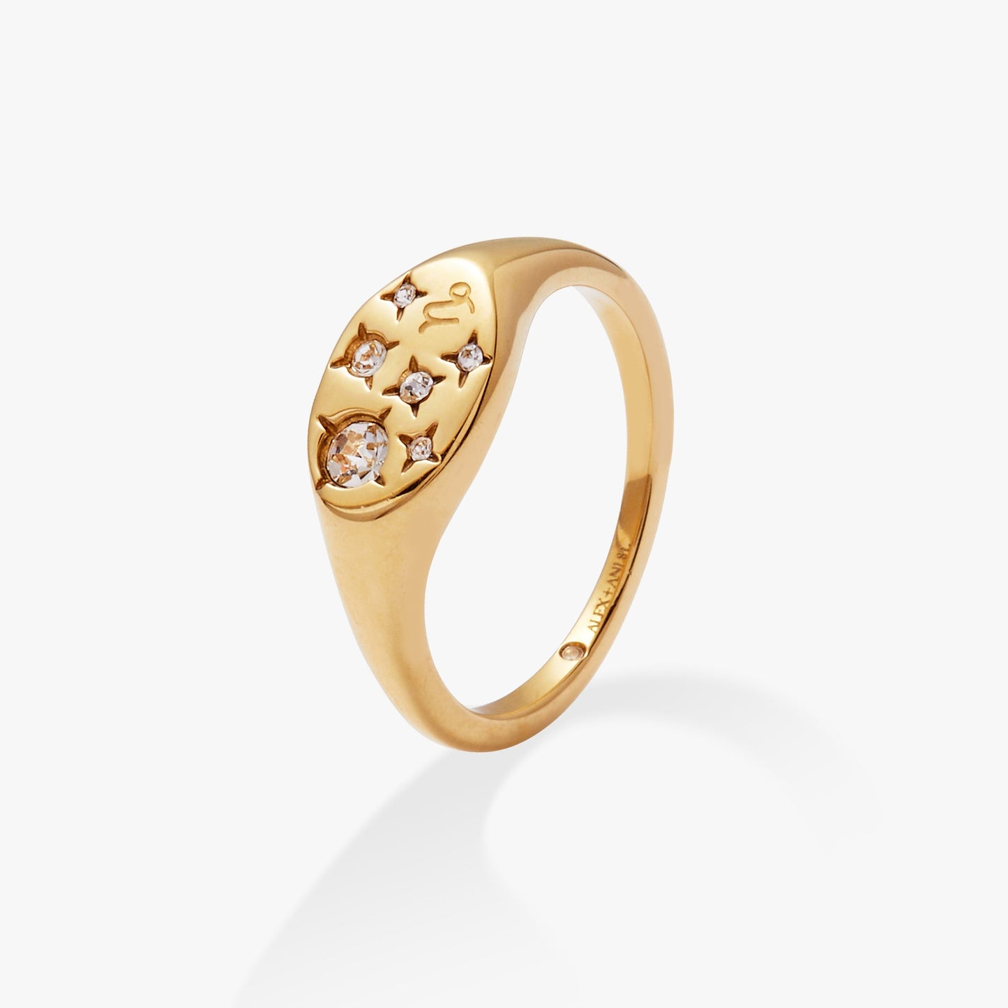 Capricorn Zodiac Ring