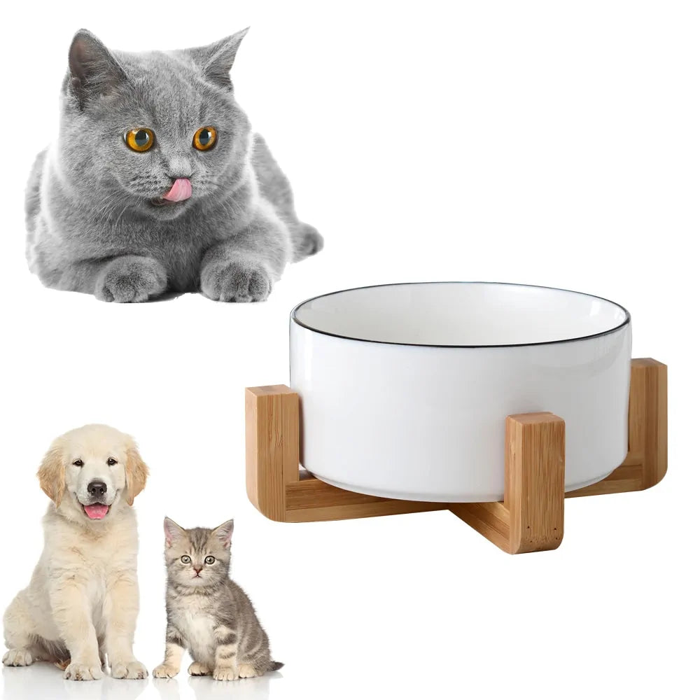 Ceramic Raised Cat Bowl w/ Wood Stand