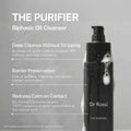 The Purifier
