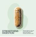 Daily Probiotic Refill Packs