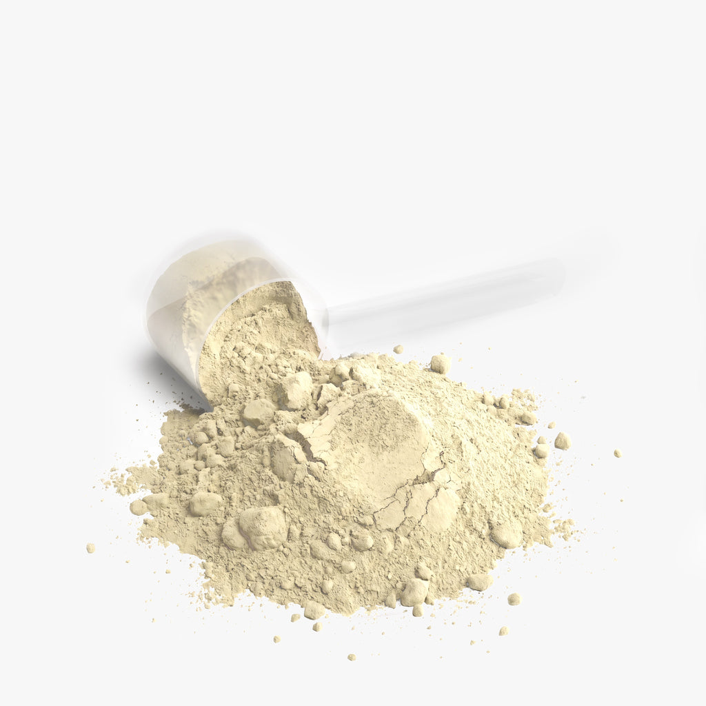 GAIN Whey Protein Blend Powder - Vanilla