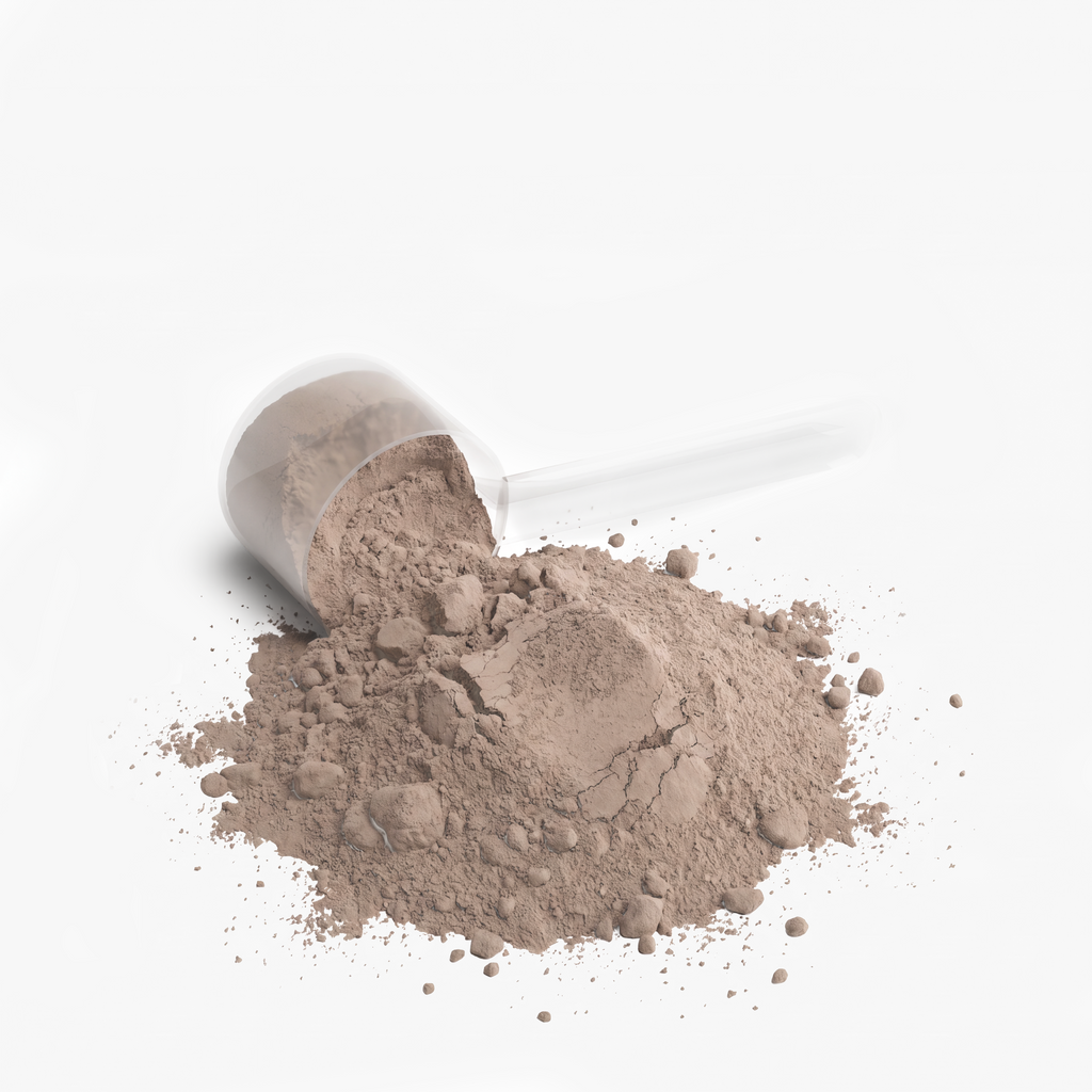 GAIN Whey Protein Blend Powder - Chocolate