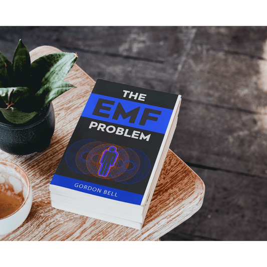 The EMF Problem Book