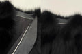 Black Sugar Champagne Fox Fur Coat