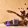 Black Iris Oak Petite Candle