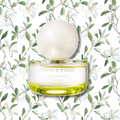 Green Grass & Jasmine Eau de Parfum – elvis+elvin
