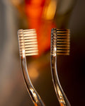 The Nano-Silver Toothbrush
