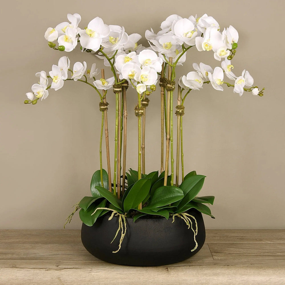Faux White Orchid Arrangement in Matte Black Planter
