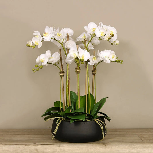 Faux White Orchid Arrangement in Matte Black Planter