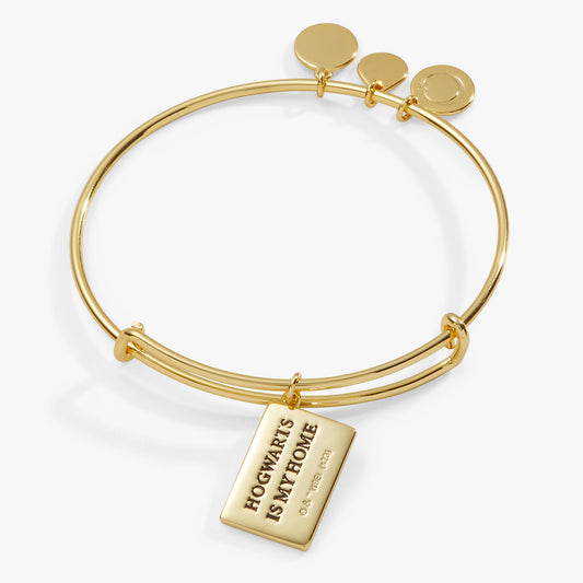 Harry Potter™ Acceptance Letter Charm Bangle