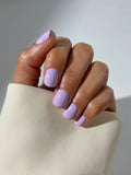 Fall In Lavender