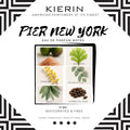 PIER NEW YORK eau de parfum (50ml)