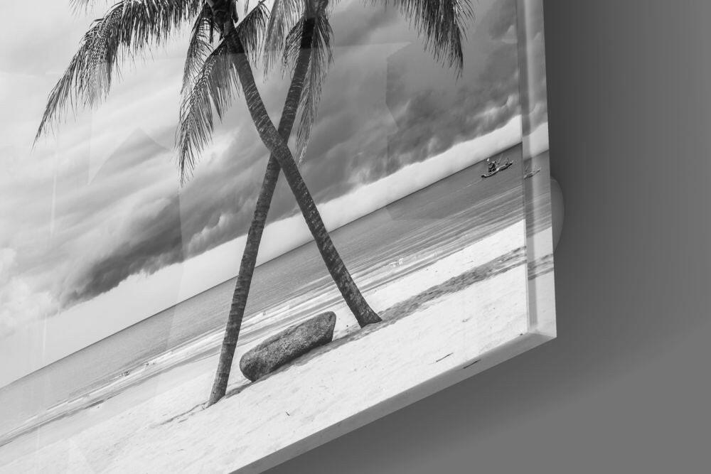 Palm Trees Glass Wall Art