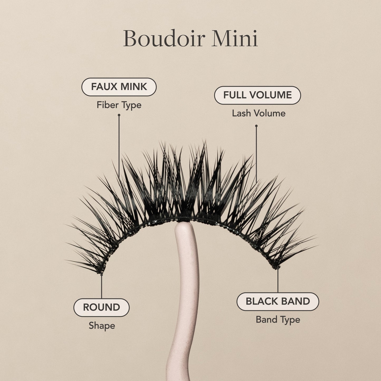 Boudoir Mini