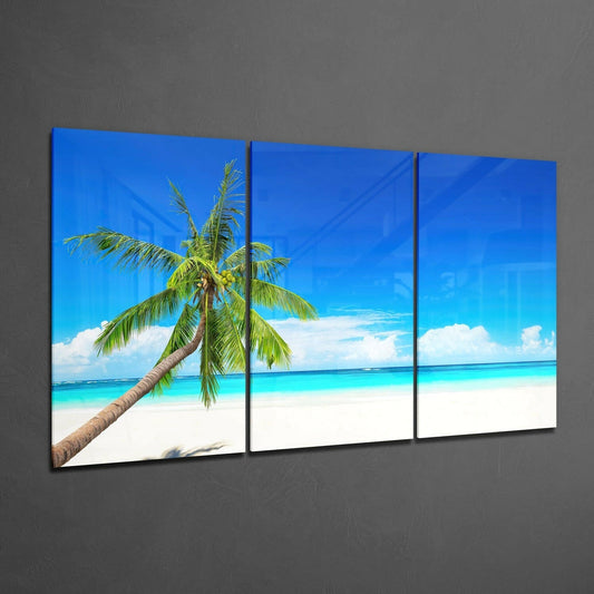 Palm Glass Wall Art on the Beach