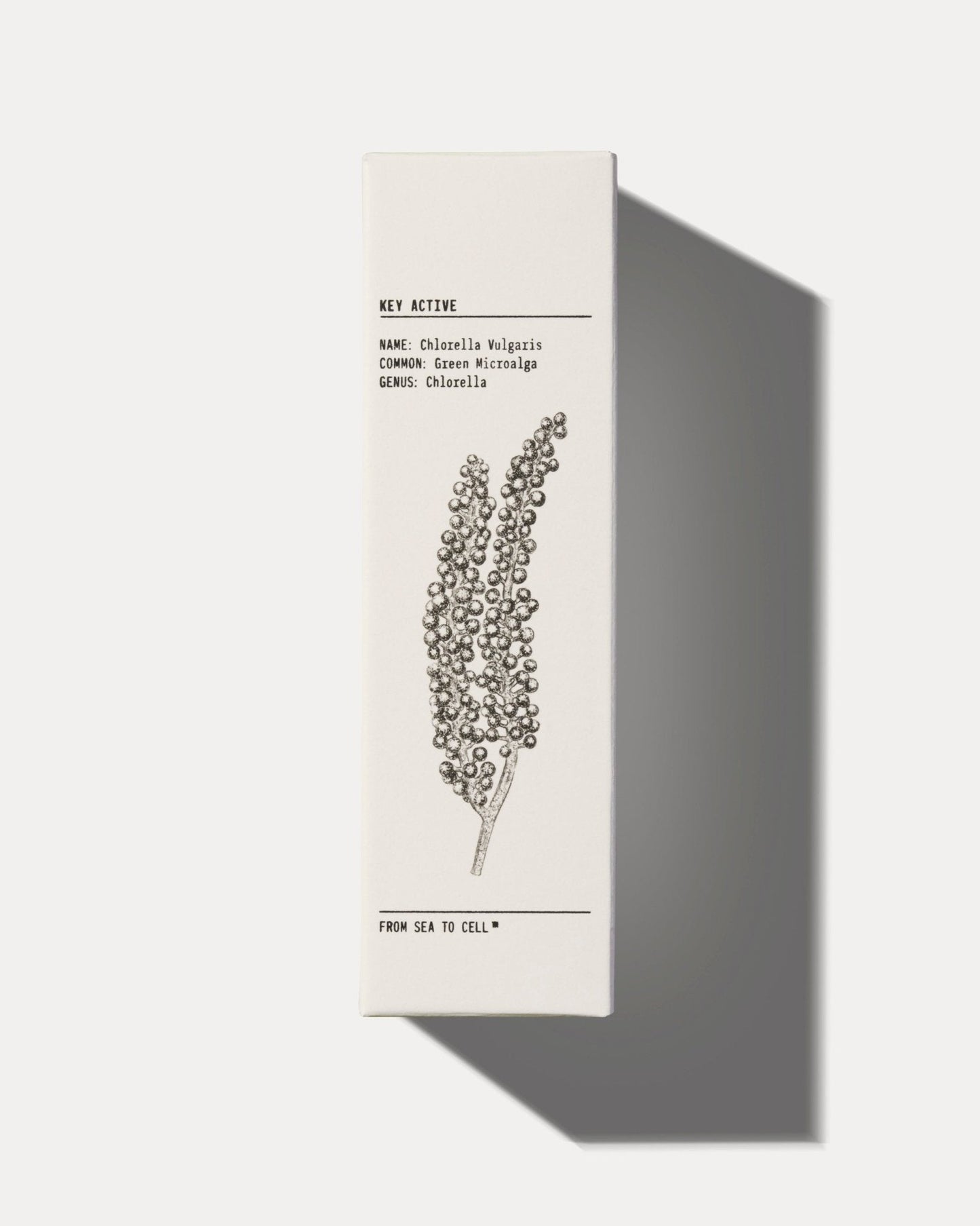 MATTIFYING MOISTURISER
