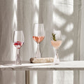 Wine Party Set of 2 Red Wine Glasses