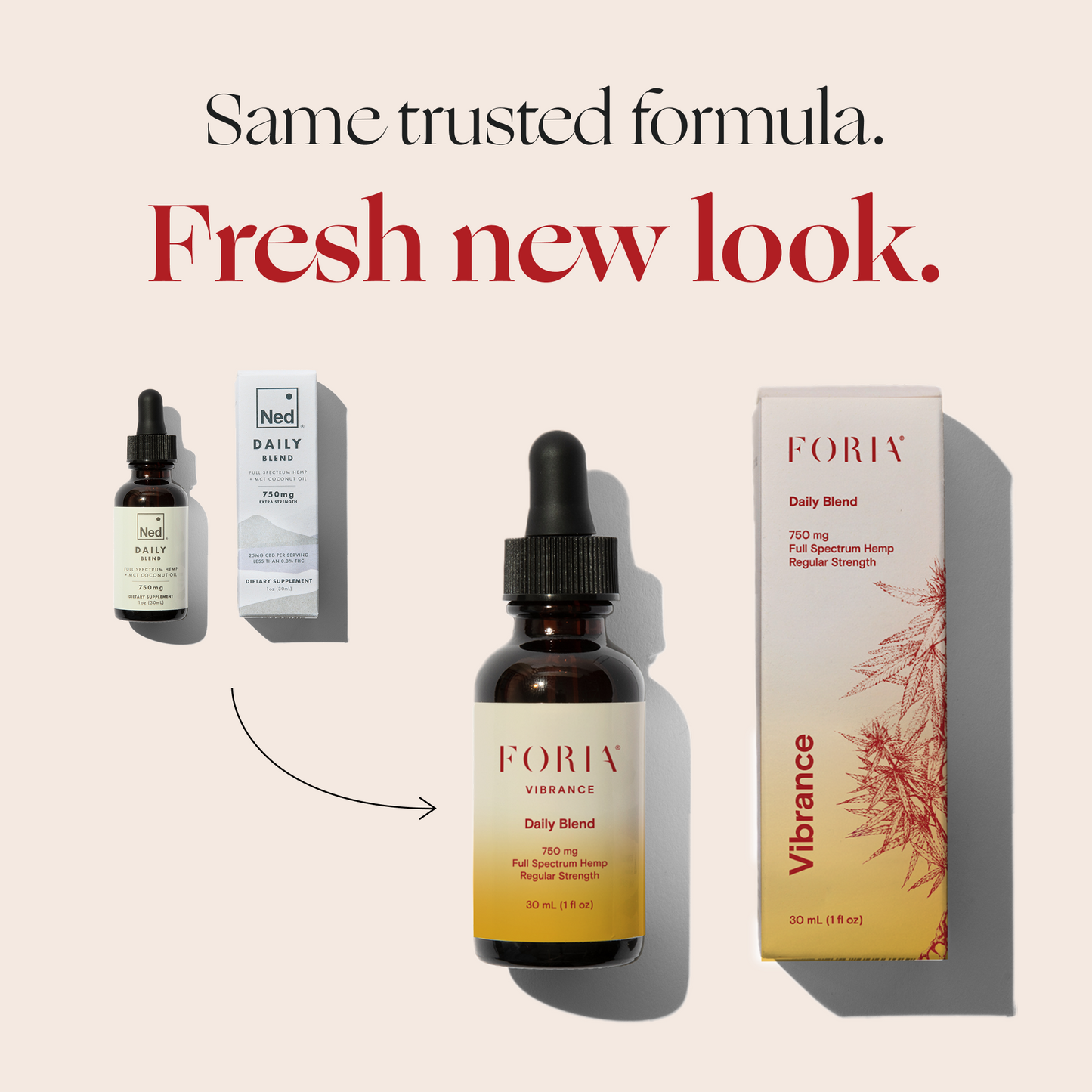 Daily Blend CBD Tincture