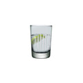 Parrot Set of 2 Water Glasses