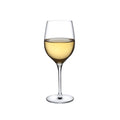 Terroir Set of 2 White Wine Glasses