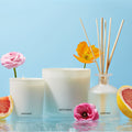 Sea Salt Grapefruit Classic Candle