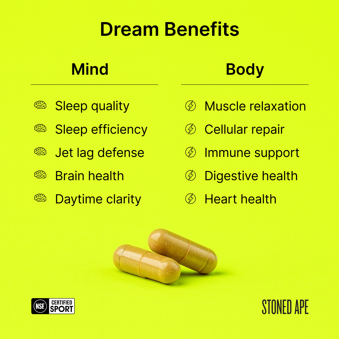 Dream: P.M. Nootropic & Sleep Aid for Recovery