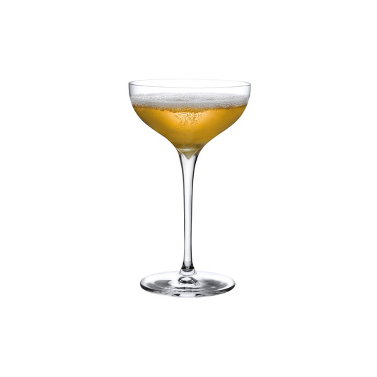 Terroir Set of 2 Coupe Glasses