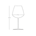 Stem Zero Elegant Red Wine Glass Medium