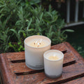Wild Mint and Ivy Classic Candle
