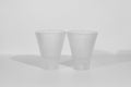 ZAI Tumbler Set of 2