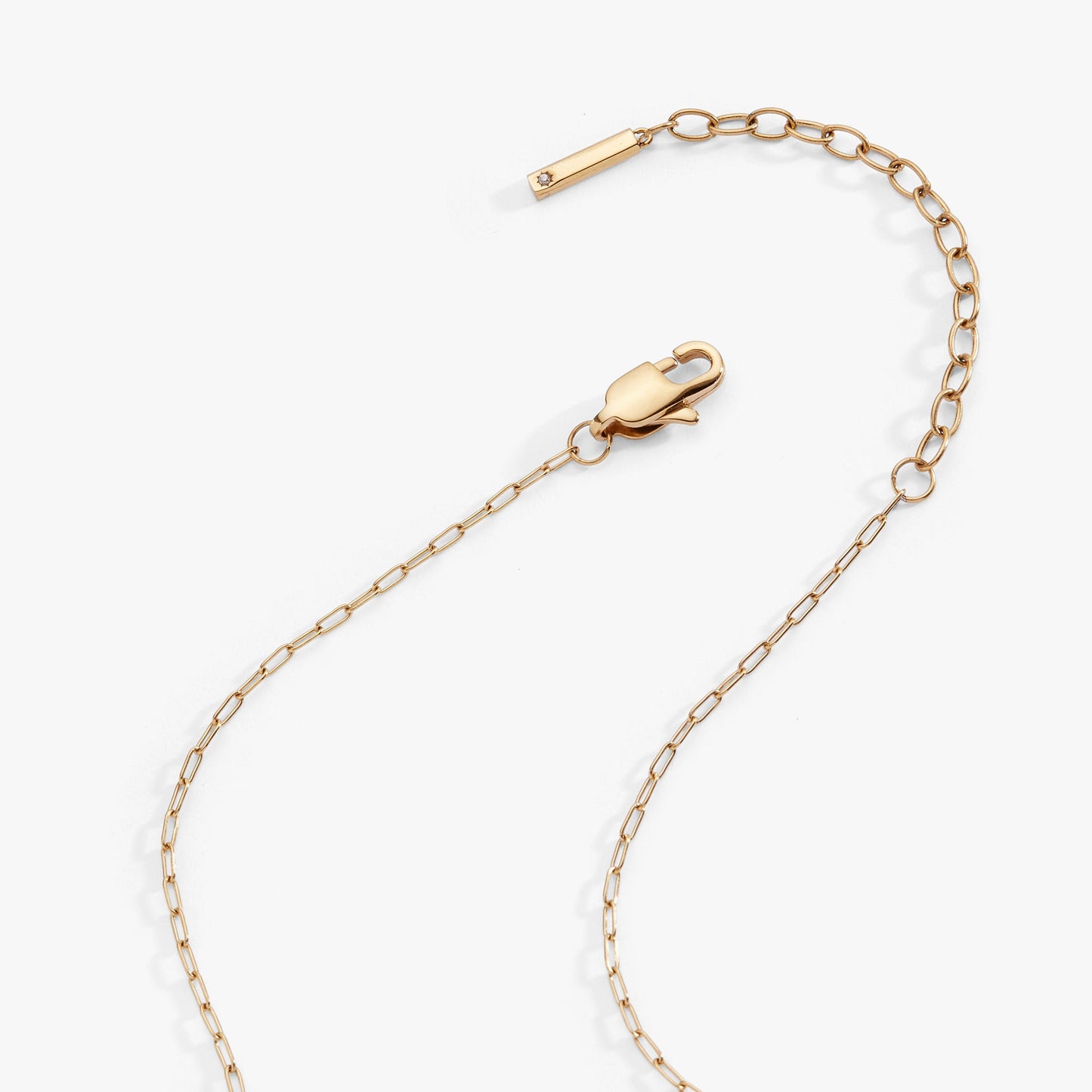 Capricorn Zodiac Charm Cluster Necklace