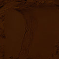 Chaga