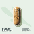 Daily Probiotic Refill Packs