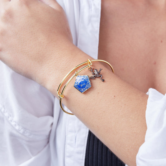Harry Potter™ Chocolate Frog Two-Charm Bangle