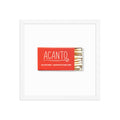 Acanto